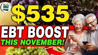 November 2024 Huge Boost Coming for SNAP Food Stamps amp Low Incomes  What You Need to Know [upl. by Channa]