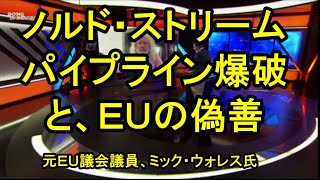 ミック・ウォレス氏元欧州議会議員ノルドストリームの妨害について語る。 [upl. by Richarda]