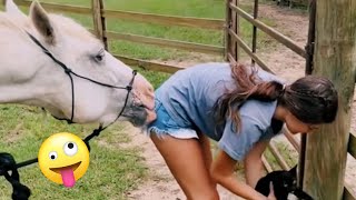 FUNNIEST Farm Animals 😂  Best Videos for families [upl. by Ahsaelat466]