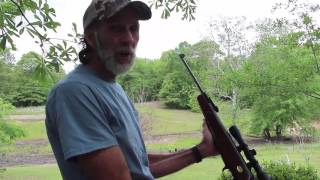 BEST Predator Control Gun Beeman Air Rifle [upl. by Isabeau724]