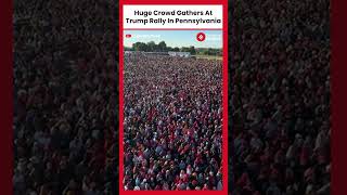 US Election 2024 Huge Crowd Gathers At A Donald Trump Rally In Pennsylvania [upl. by Adnarim953]