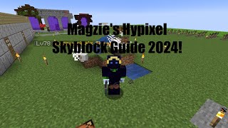 Going Over My Raider Build EP7 Magzies Hypixel Skyblock Guide For 2024 [upl. by Rentschler]