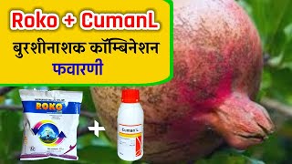 Roko  CumanL fungicide Combination  डाळिंब बागेसाठी Roko  CumanL फवारणी फायदे  Biostadt [upl. by Curson284]