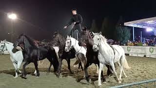 Gran Gala equestre Bagnolo Piemonte 6°esibizione Lorenzo [upl. by Yrovi143]