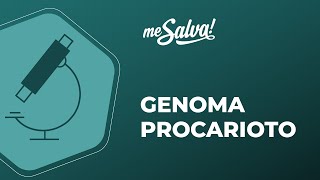 Genoma Procarioto  Biologia Molecular  Me Salva Saúde [upl. by Lorenz]