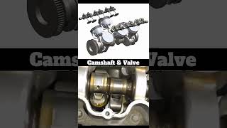 How to work Camshaft and valveautomobile engine camshaft dieselengine head [upl. by Nazler]