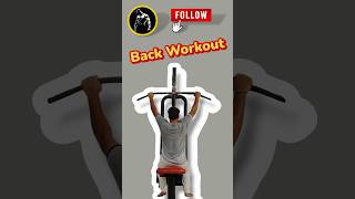 Back Workout Routine [upl. by Chauncey]