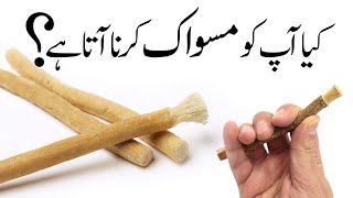 How to CutMaintain your Miswak [upl. by Pohsib]