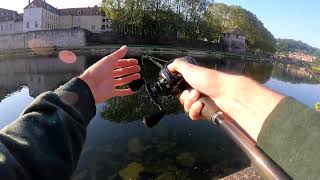 Le whopper plopper cest cool silure 1m86 [upl. by Suhploda908]