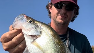 Big Skiatook Lake Crappie [upl. by Ynaittirb199]