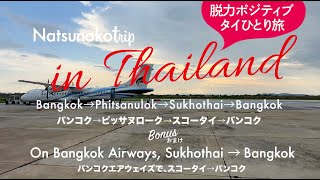 【Bonus おまけSukhothai→BangkokBangkok Airways✈️🇹🇭 スコータイ→バンコク、バンコクエアウェイズ】タイ旅行 travelling to Thailand [upl. by Verdha591]