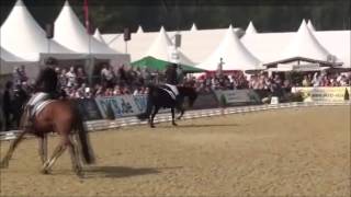 Zikade  Bundeschampionat 2014 Dorothee Schneider [upl. by Krebs445]