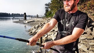 Unter dieser Autobahn Brücke leben über 2m große Monsterfische [upl. by Georg]