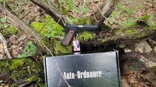 Auto Ordnance 1911 A1 what I got for 500 [upl. by Nanette]