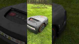 A Perfectly Cut Lawn all Year Round The STIHL iMow EVO  Robot Mower  Automatic Lawnmower [upl. by Ahseym]