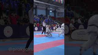 Olivier Leclercq France 7th WKB European Kyokushin KarateChampionships knockout [upl. by Africah]