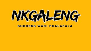 Nkgaleng  Success Wadi Phalafala ft OPWSP Records [upl. by Rhona911]