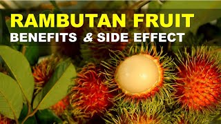 Rambutan Fruit Benefits and Side Effects Rambutan Rich in Nutrients and Antioxidants [upl. by Jae]