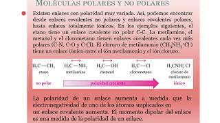 Apolaridad y polaridad y su relación con las mezclas [upl. by Rani142]