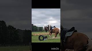 Thanks for the advice 😅 heartland equestrianjumping fall equestrianfail ouch [upl. by Eberhart]