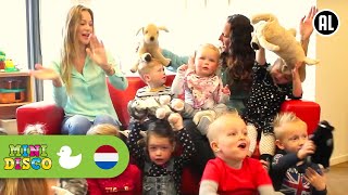 IN HOLLAND STAAT EEN HUIS  Kinderliedjes  Kinderdagverblijf  Minidisco [upl. by Novick]