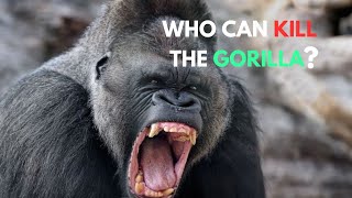 6 Animals That Could Defeat A Gorilla [upl. by Resneps]