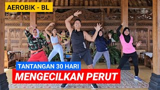 30 HARI MENGECILKAN PERUT  AEROBIK BL [upl. by Zelikow39]