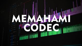 Memahami apa itu CODEC BelajarVideografi [upl. by Aivatco474]