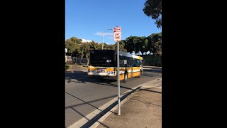 Thebus Honolulu Bus 676 Gillig Low Floor 40 Ft Route 43 Hoaeae West Loch Skyline Station [upl. by Thom]