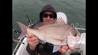 EARLY SEASON SNAPPER  WESTERN PORT  ROUGH N TOUGH  snapper snapperfishing Westernport [upl. by Anirdua]