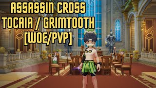 Assassin Cross WOEPVPTocaiaGrimtooth Ragnarok Origin [upl. by Harelda615]