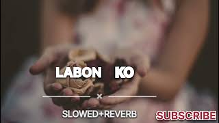 Labon Ko Slowed Reverb LoFi Song🌹🌹🌹Bhool Bhulaiyaa Movie song [upl. by Virge]