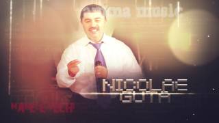 Nicolae Guta  Am atatea probleme [upl. by Fairbanks]