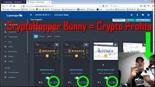 How To Trade Crypto amp Profit Using A CryptoHopper Bunny Trading Bot  Settings [upl. by Atinrahs75]