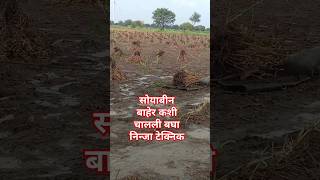 निन्जा टेक्नॉलॉजी शेतकरी चा नाद करायचा नाय song शेतकरी farming agriculture soyabean [upl. by Enrique]