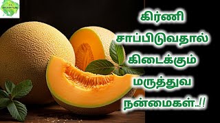 கிர்ணி பழம் சாப்பிடுவதால் கிடைக்கும் நன்மைகள் kirni fruit benefits in tamilmuskmelonsummerfruit [upl. by Polinski]