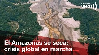 El río Amazonas se está secando minería tala y carne en el centro de la crisis  Noticias UNO [upl. by Hadwin]