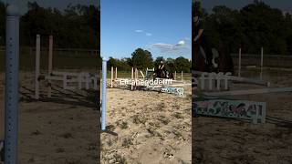 Uh… striding horsejumping horseriding equestrian eventing fypシ゚ [upl. by Ennaxor754]