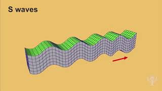 Seismic waves earthquake [upl. by Nonregla]