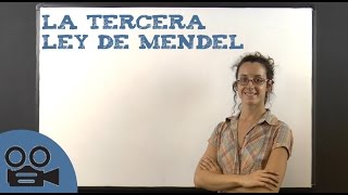 La tercera ley de Mendel [upl. by Noruq832]