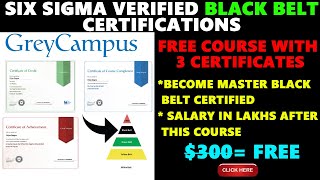 Six Sigma Black Belt Certification GrayCampus Six Sigma Master Black Belt Free Course ampCertificate [upl. by Jew]