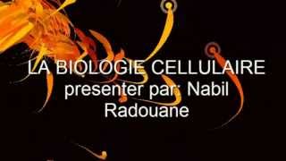 Biologie Cellulaire LES ORGANITES CELLULAIRE [upl. by Hajile211]