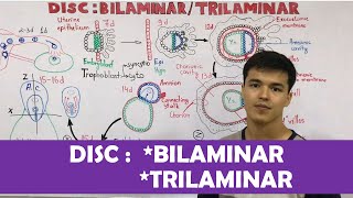 Embryology  DISC Bilaminar  Trilaminar [upl. by Zillah984]