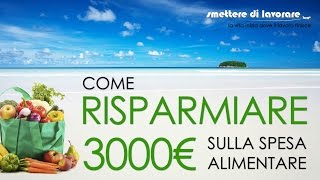 Risparmiare 3000€ Sulla Spesa Alimentare [upl. by Nelly]