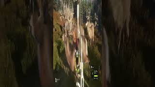 52 BOW VS GREAT ONE KILLING LAYTON LAKE THEHUNTER CALL OF THE WILD PC 2023 [upl. by Bozovich]