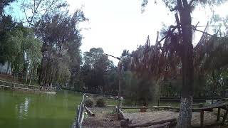 Prueba de calidad de video 2k sjcam sjcamc100 [upl. by Nugesulo]