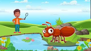 Lets Learn About Insects  Fun and Educational Bug Adventure for Kids [upl. by Sabir]