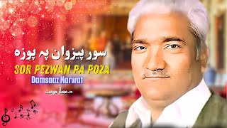 Sor Pezwan Pa Poza  Damsaaz Marwat  Pashto New Song 2024  Afghan  HD  Damsaaz Marwat Official [upl. by Alaster]