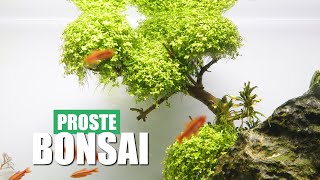 Jak szybko i prosto zrobić drzewko Bonsai do Akwarium [upl. by Siradal112]