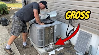 How To Clean Your Air Conditioner Condenser [upl. by Oloap712]